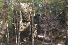20200819_104235